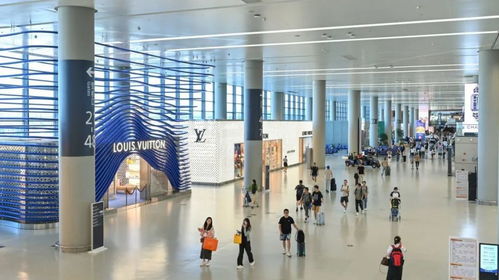东航发布最新退改签政策，上海机场为旅客提供不间断信息咨询服务