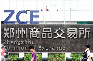 投资者必知 全国性交易所仅8家，警惕上海信息咨询服务类陷阱